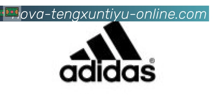 腾讯体育直播合作伙伴